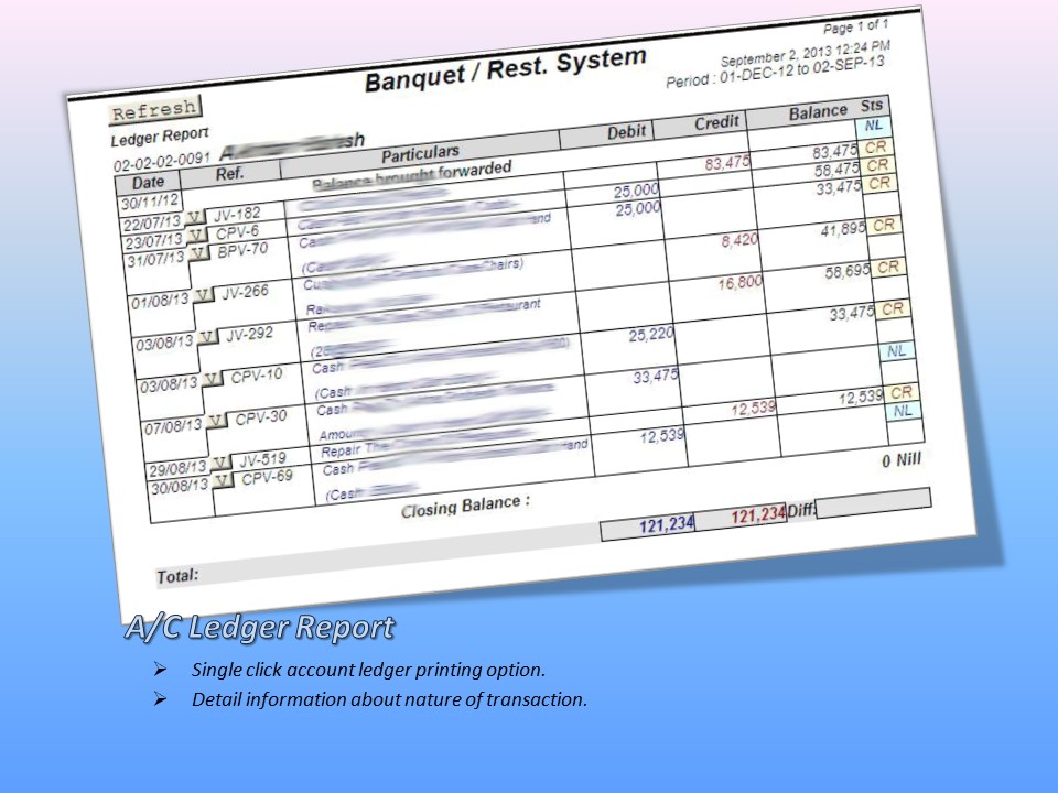 Ledger Statement